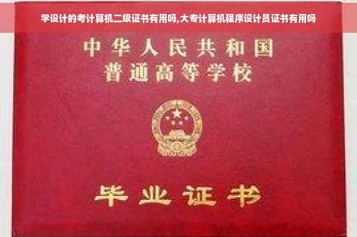 学设计的考计算机二级证书有用吗,大专计算机程序设计员证书有用吗