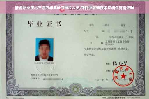 能源职业技术学院的毕业证书图片大全,新能源装备技术专科生有前途吗