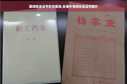 国培结业证书怎样查询,省委中青班毕业证书图片