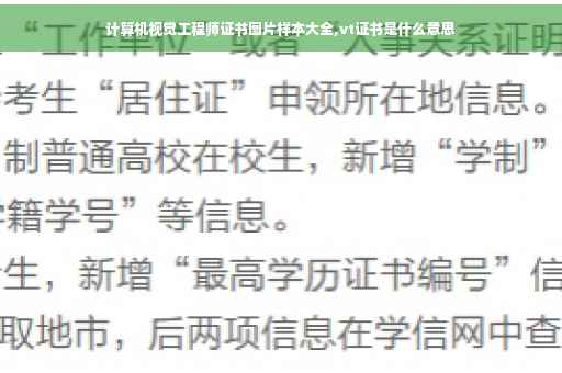 计算机视觉工程师证书图片样本大全,vt证书是什么意思