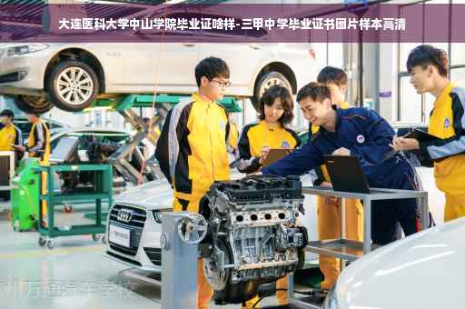 大连医科大学中山学院毕业证啥样-三甲中学毕业证书图片样本高清 大连医科大学中山学院毕业证啥样-三甲中学毕业证书图片样本高清
