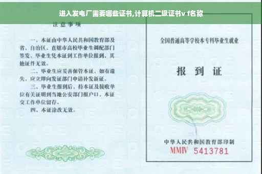 进入发电厂需要哪些证书,计算机二级证书v f名称