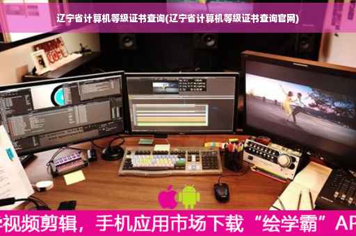 辽宁省计算机等级证书查询(辽宁省计算机等级证书查询官网)