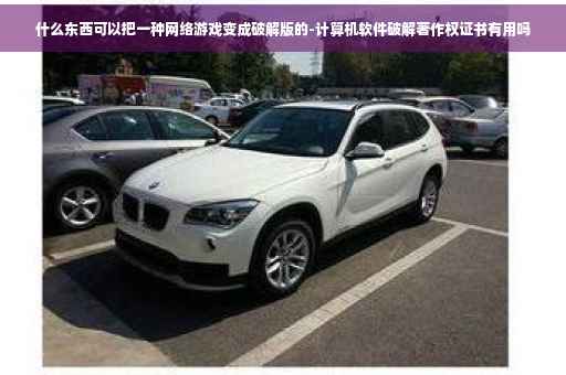 什么东西可以把一种网络游戏变成破解版的-计算机软件破解著作权证书有用吗