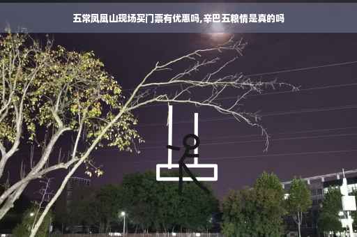 五常凤凰山现场买门票有优惠吗,辛巴五粮情是真的吗