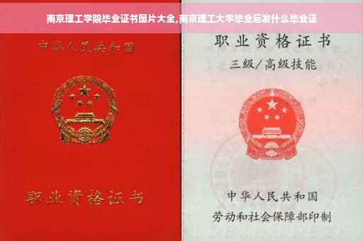 南京理工学院毕业证书图片大全,南京理工大学毕业后发什么毕业证