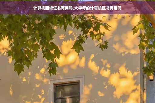 计算机四级证书有用吗,大学考的计算机证书有用吗