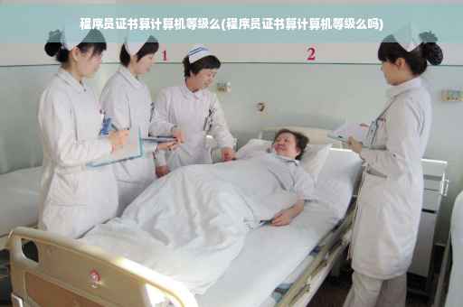 程序员证书算计算机等级么(程序员证书算计算机等级么吗)