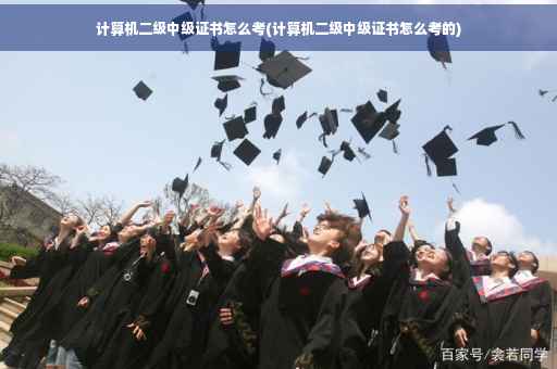 计算机二级中级证书怎么考(计算机二级中级证书怎么考的)