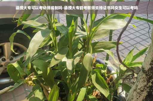 函授大专可以考幼师编制吗-函授大专能考教师资格证书吗女生可以考吗