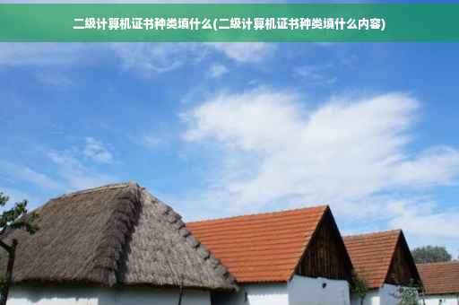 二级计算机证书种类填什么(二级计算机证书种类填什么内容)