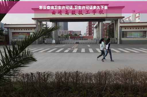 怎么查询卫生许可证,卫生许可证多久下来