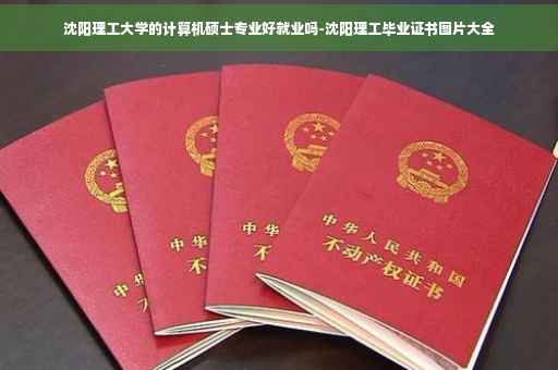 沈阳理工大学的计算机硕士专业好就业吗-沈阳理工毕业证书图片大全