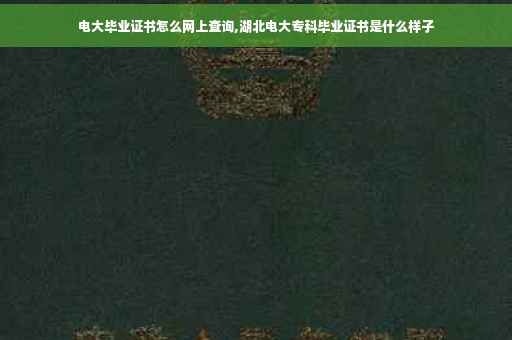 电大毕业证书怎么网上查询,湖北电大专科毕业证书是什么样子