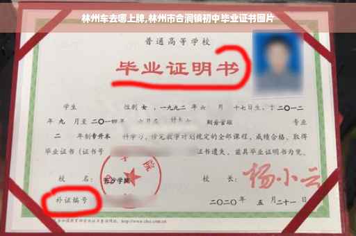林州车去哪上牌,林州市合涧镇初中毕业证书图片