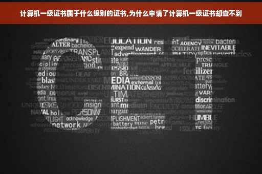 计算机一级证书属于什么级别的证书,为什么申请了计算机一级证书却查不到