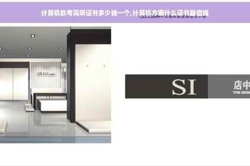 计算机软考高级证书多少钱一个,计算机方面什么证书最值钱