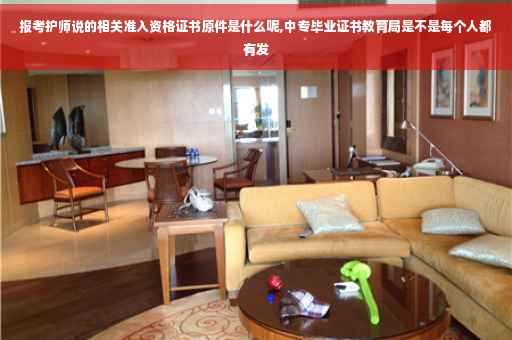 报考护师说的相关准入资格证书原件是什么呢,中专毕业证书教育局是不是每个人都有发