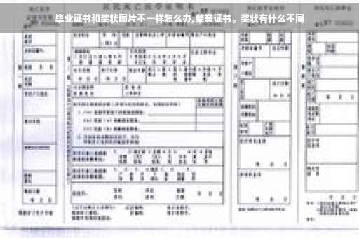 毕业证书和奖状图片不一样怎么办,荣誉证书。奖状有什么不同