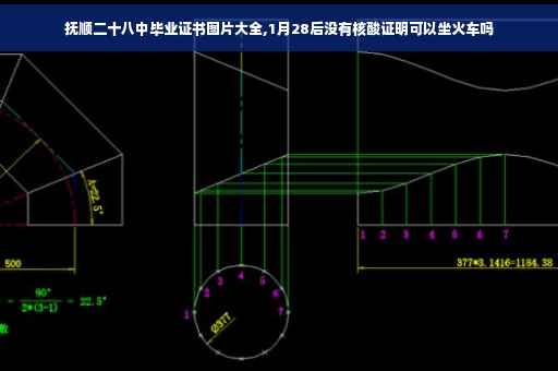 抚顺二十八中毕业证书图片大全,1月28后没有核酸证明可以坐火车吗