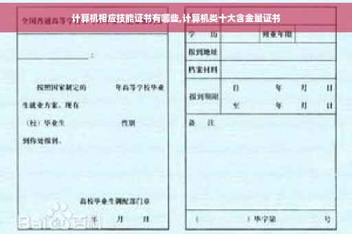 计算机相应技能证书有哪些,计算机类十大含金量证书