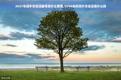 2021年高中毕业证编号是什么意思,1990年的高中毕业证是什么样