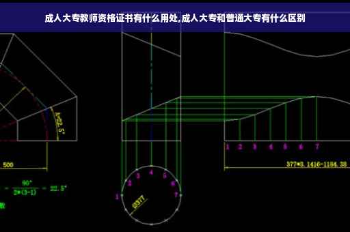 成人大专教师资格证书有什么用处,成人大专和普通大专有什么区别