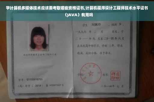 学计算机多媒体技术应该要考取哪些资格证书,计算机程序设计工程师技术水平证书（JAVA）有用吗