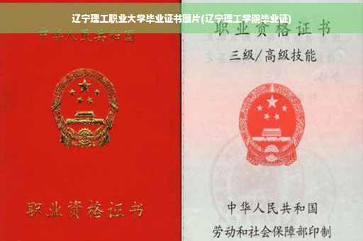辽宁理工职业大学毕业证书图片(辽宁理工学院毕业证)