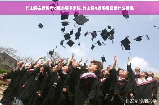 竹山县车管所考d证需要多少钱,竹山县4级残疾证是什么标准
