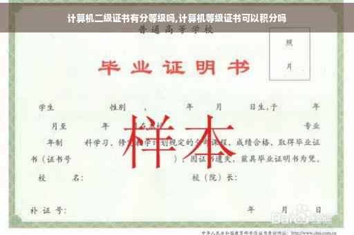 计算机二级证书有分等级吗,计算机等级证书可以积分吗