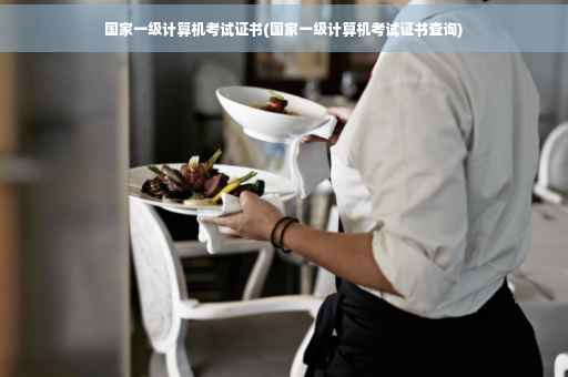 国家一级计算机考试证书(国家一级计算机考试证书查询)