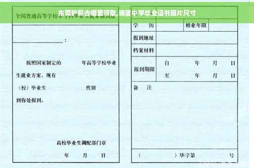 东莞护照去哪里领取,塘厦中学毕业证书图片尺寸