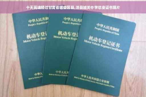 十天高速经过甘肃省哪些区县,洋县城关中学毕业证书图片