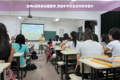 漳州d证驾驶证哪里考,芗城中学毕业证书样本图片