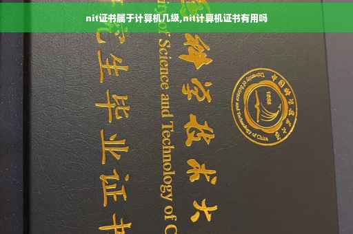 nit证书属于计算机几级,nit计算机证书有用吗