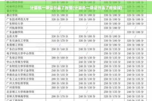 计算机一级证书丢了咋整(计算机一级证书丢了咋整领)