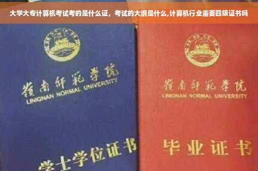 大学大专计算机考试考的是什么证，考试的大纲是什么,计算机行业需要四级证书吗
