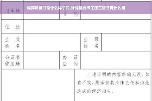 程序员证书是什么样子的,计算机高级工技工证书有什么用