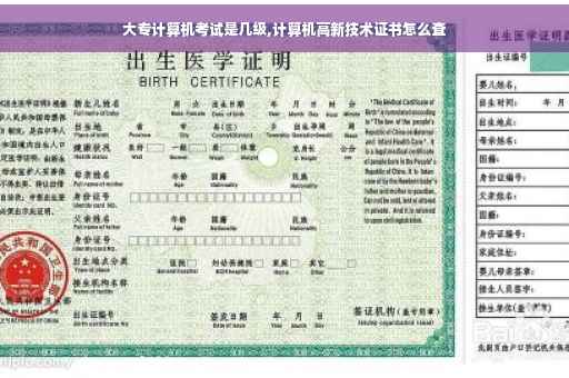 大专计算机考试是几级,计算机高新技术证书怎么查