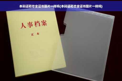 本科证和毕业证书图片一样吗(本科证和毕业证书图片一样吗)