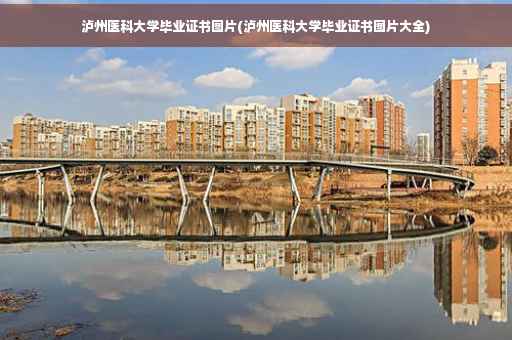 泸州医科大学毕业证书图片(泸州医科大学毕业证书图片大全)