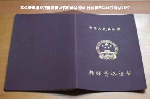 怎么查询职业技能资格证书的证号编码-计算机三级证书编号65位