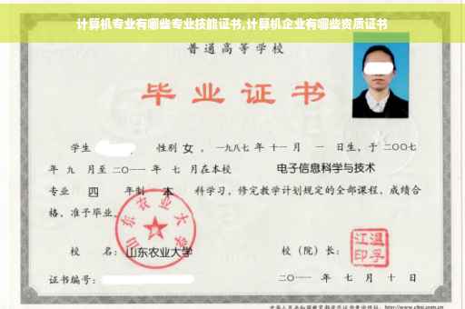 计算机专业有哪些专业技能证书,计算机企业有哪些资质证书