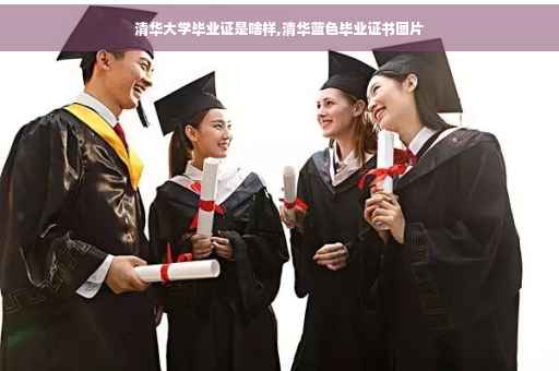 清华大学毕业证是啥样,清华蓝色毕业证书图片