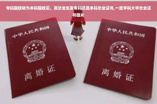 专科院校转为本科院校后，其毕业生发专科还是本科毕业证书,一流学科大学毕业证书图片