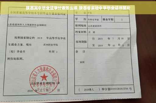 陕西高中毕业证学分表怎么填,陕西省实验中学毕业证书图片