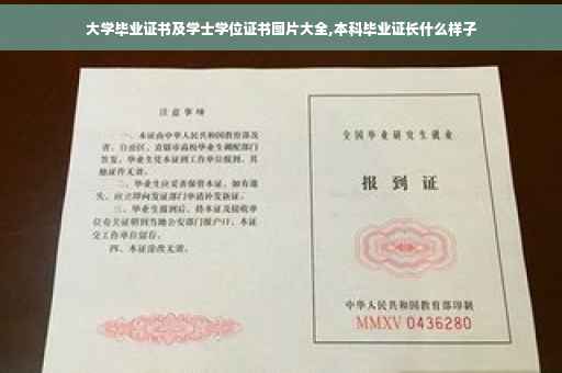 大学毕业证书及学士学位证书图片大全,本科毕业证长什么样子