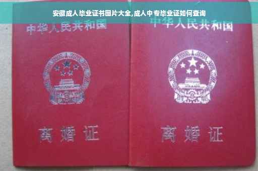 安徽成人毕业证书图片大全,成人中专毕业证如何查询