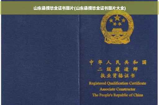 山东函授毕业证书图片(山东函授毕业证书图片大全)